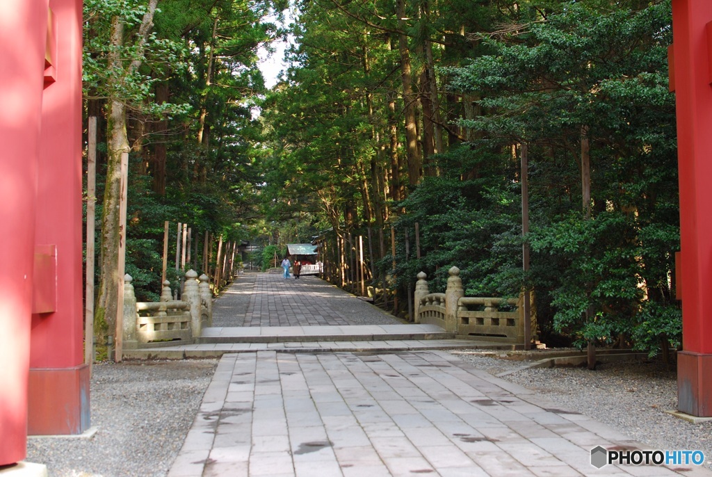 C4D2001C-8622-4B81-A7E1-43796C9A4F68