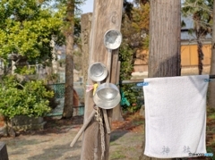 B6F973C9-5737-4C39-8699-A64D1E70F439