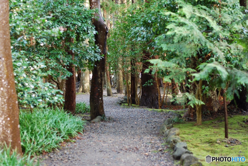 BAF0F7B3-2D97-4456-BA7D-A5ABE00E510F