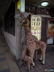 7C2BDC9D-50F8-438D-860B-17EC3655FB96
