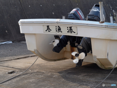 61705FD6-755C-4F3D-B03E-74BD6E04DF3D