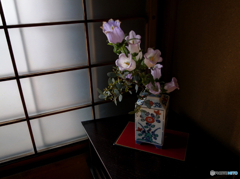 17561154-1700-45D7-8B6F-E292AD8F0253