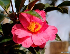 0E774611-E609-40D1-A57D-830773002FFD