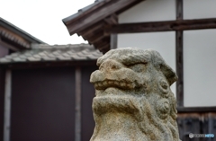 80BA194A-2020-4FD4-8D5D-1CE085D4057B