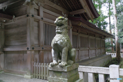 2D6A07A0-D503-448A-B8F9-E184DC30475D
