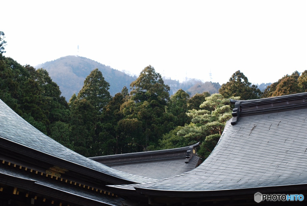 615B13CB-F136-4A71-963E-BD1E2F26DF0F