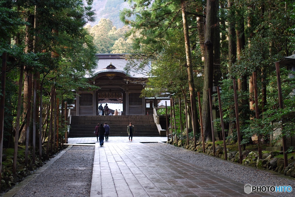 95607C7A-4B77-44BD-824C-984A871C2E91