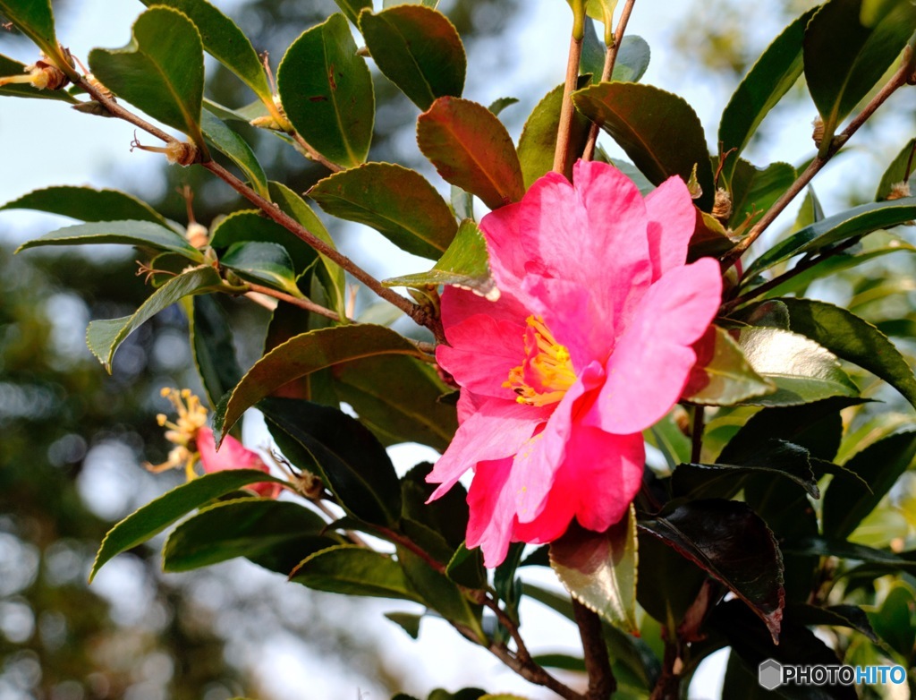 D803973A-A978-4231-8A32-04377E4766DC