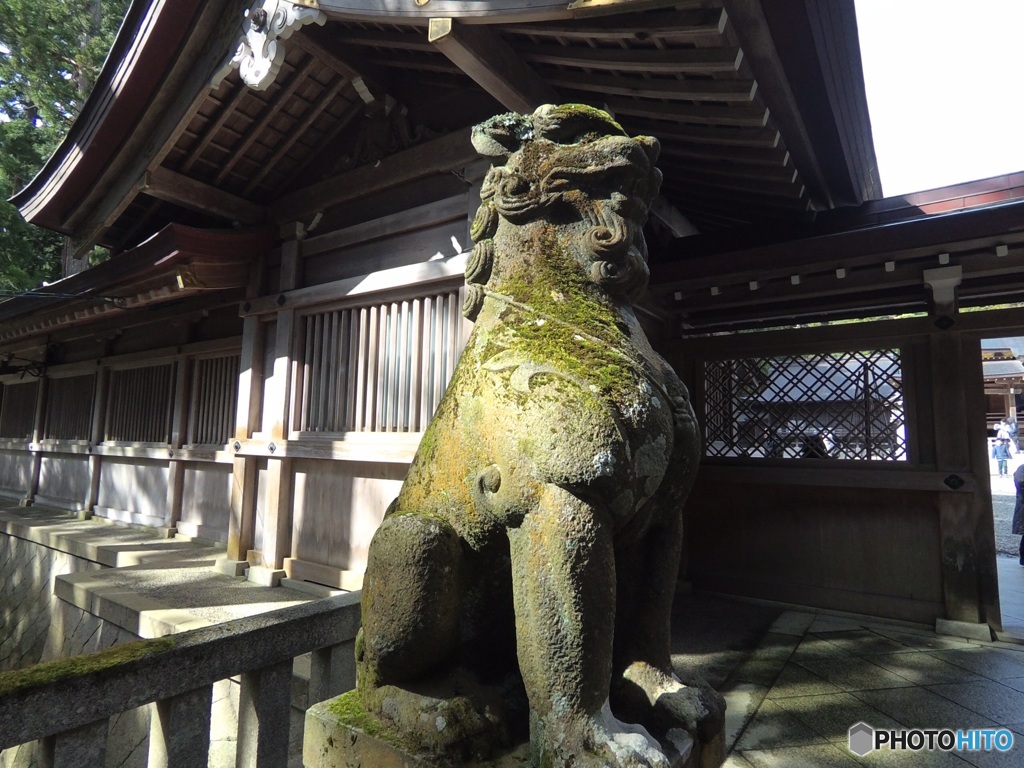 C2004079-0D1D-433C-A60F-3930ABE5B909