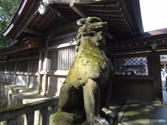 C2004079-0D1D-433C-A60F-3930ABE5B909