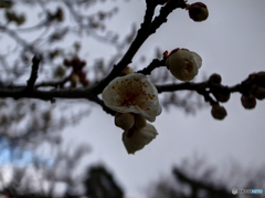 E7FA2378-6D73-41DB-B0E9-FAE361B86419