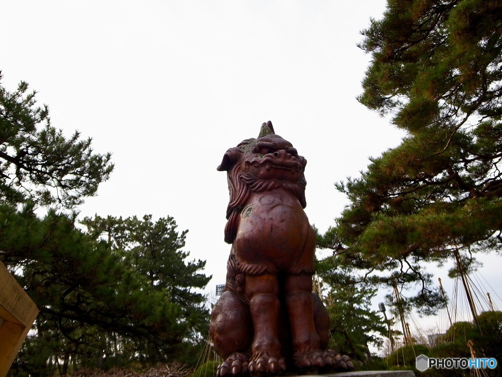 59CB70DC-BF1B-42D7-B9F5-ADBF785E5C20