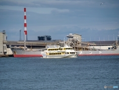 41D40A90-41AD-4139-BF17-CBBAB8FA99D3
