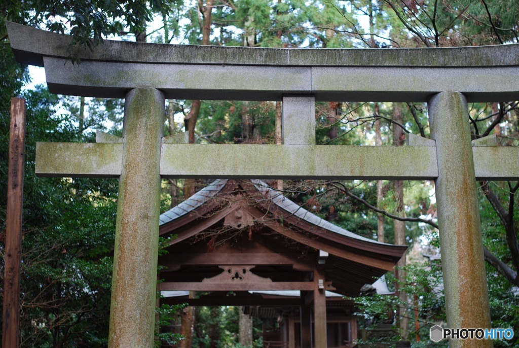 D2C1B43B-99EB-44D9-94D7-CCAFCB45FA98