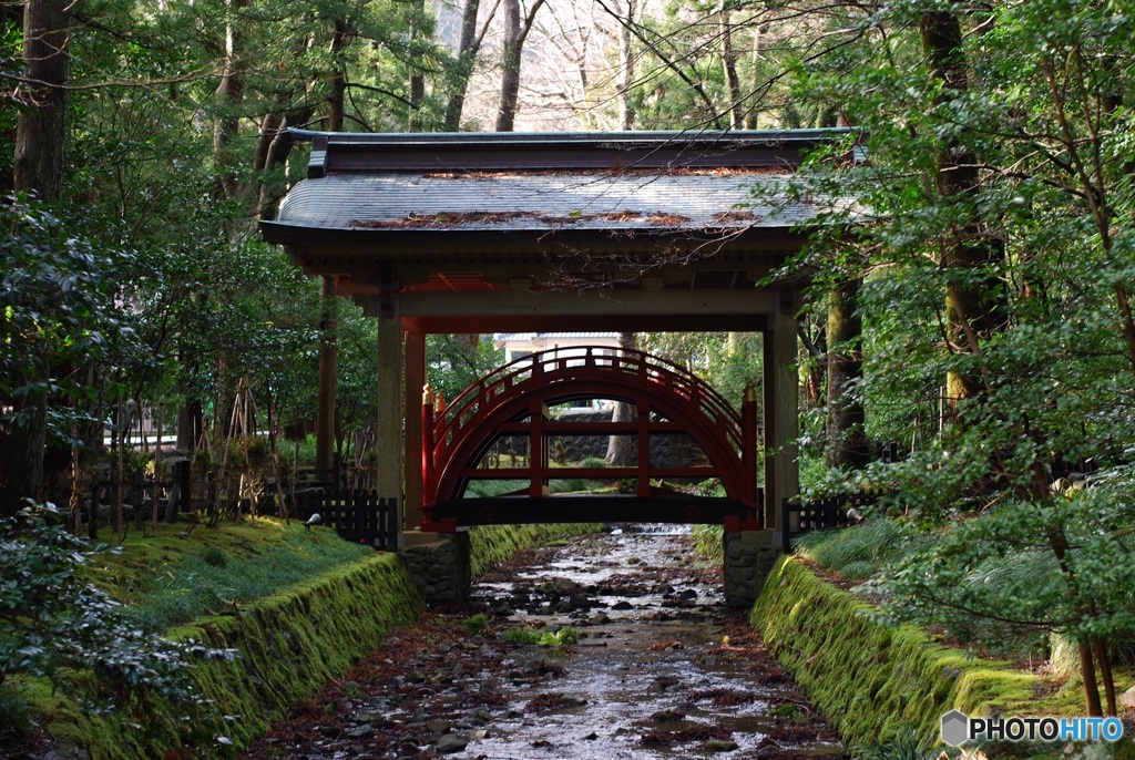 977C2A83-92C0-4BB8-9445-4CA06F975DCE