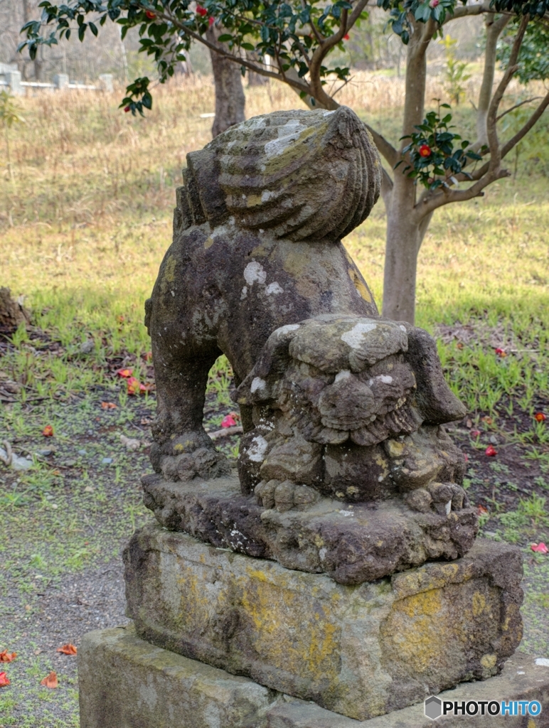 4D59854F-1DD0-4512-8EF6-54B03704B272