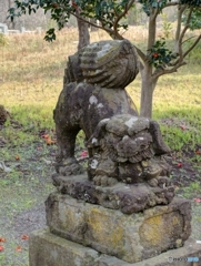 4D59854F-1DD0-4512-8EF6-54B03704B272