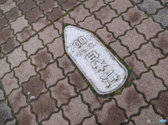 DC772200-5600-48B9-92BE-02462C7F8709