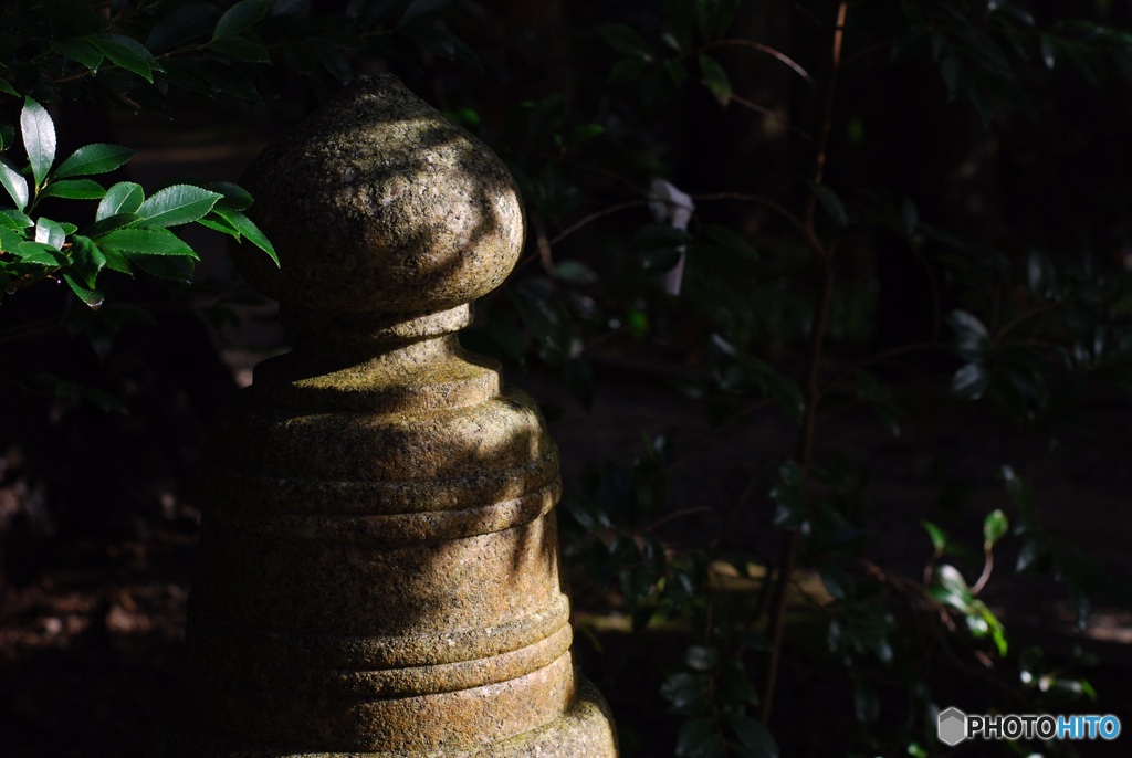 A3278AEE-27B3-42C0-B987-3247C4AD385D