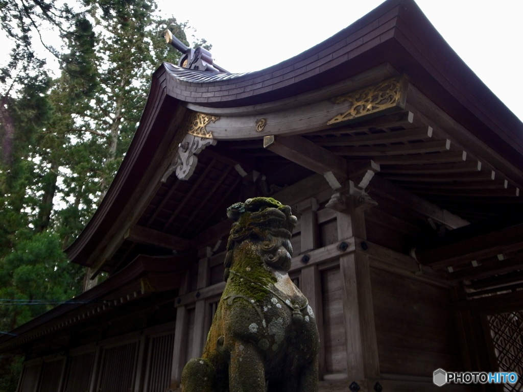 D049AEB1-5B33-4DA3-B29A-FECF64DAB53D