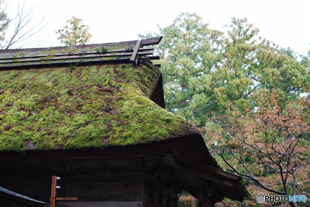 86A41062-338C-4950-B0F6-DFA85B9655C8