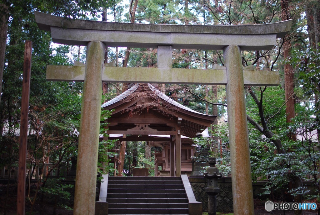 C2771666-9C87-4A51-8E53-1C1CB4AAFF36