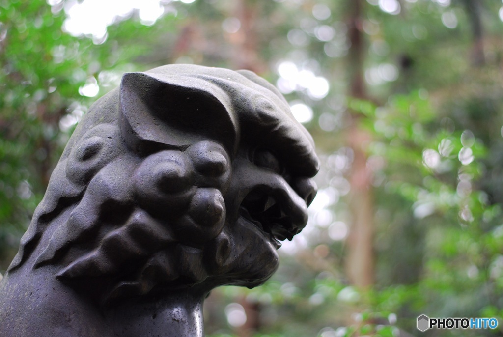 91BE9D0D-073B-4DDC-B5BD-8191267C841E