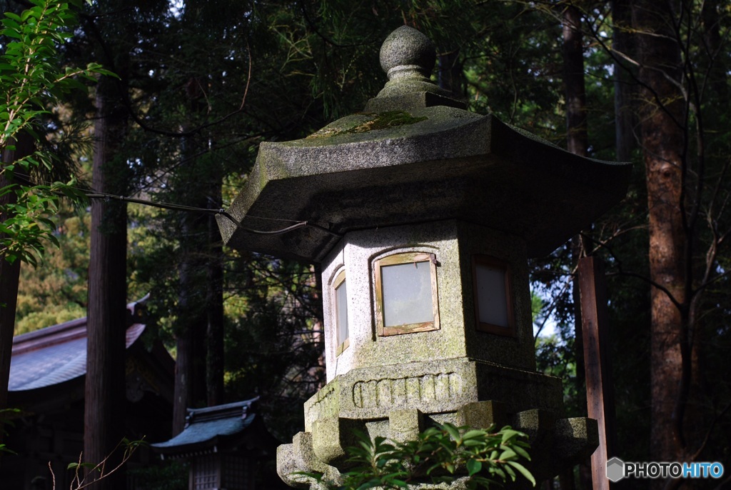 971856F9-2733-4356-953E-CEB250CB52FB