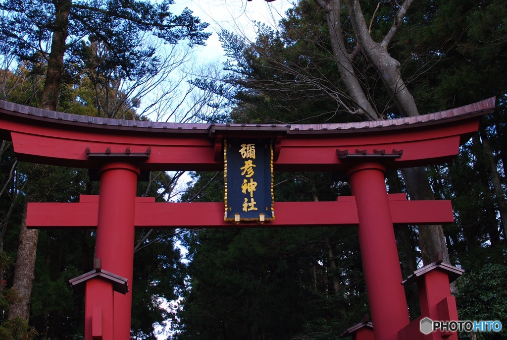 8FA9B9F9-4B02-4FF5-8F1D-C31C10D2E6C0