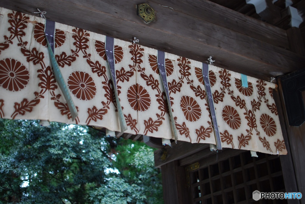 97E96297-1B68-447A-8372-C6BEE3461929