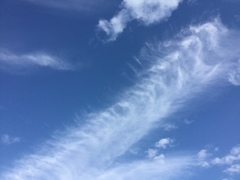 316892E0-3C44-4CC1-893C-5977B01B3FD7