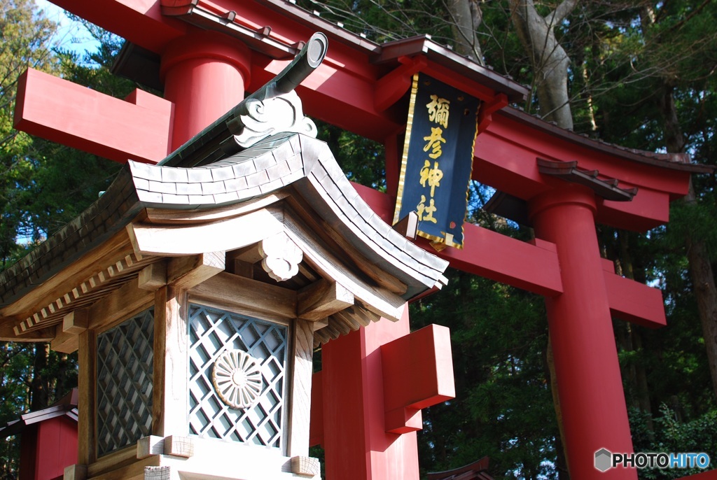 8D3EA608-5EE0-4CE7-B0B5-87AF5895CA3E