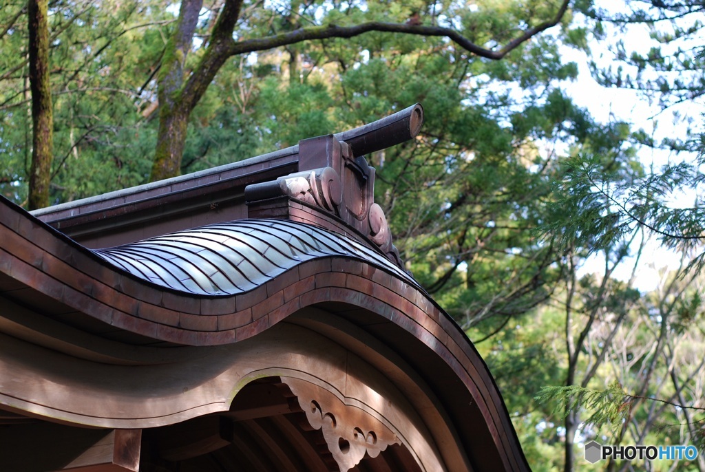 D8EEB7A1-149E-4CDA-ACF1-79F43D089C97