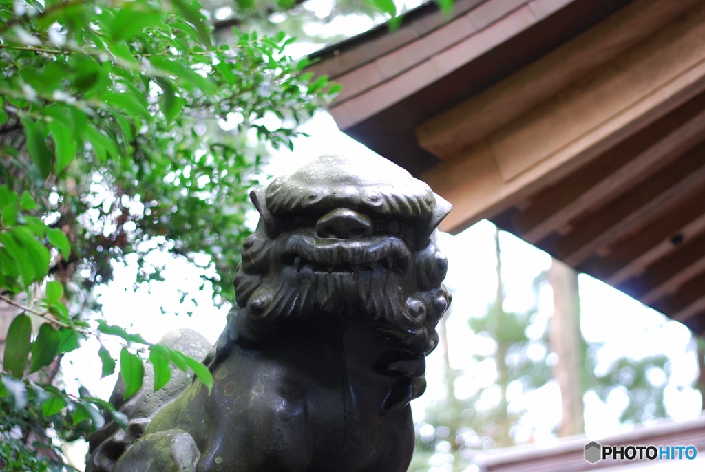 E9539B0B-9CEA-4987-8DF0-8CDE5BB38BC6