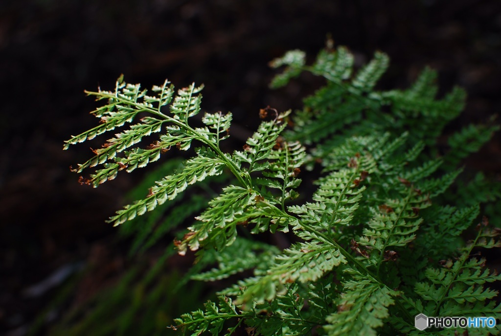 95E92D75-EAB7-4B1B-9E0A-4C5A8FBA61C0