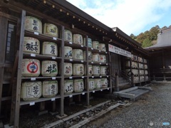 D20731A0-494E-48BB-8D57-CA93B8F9D0FA