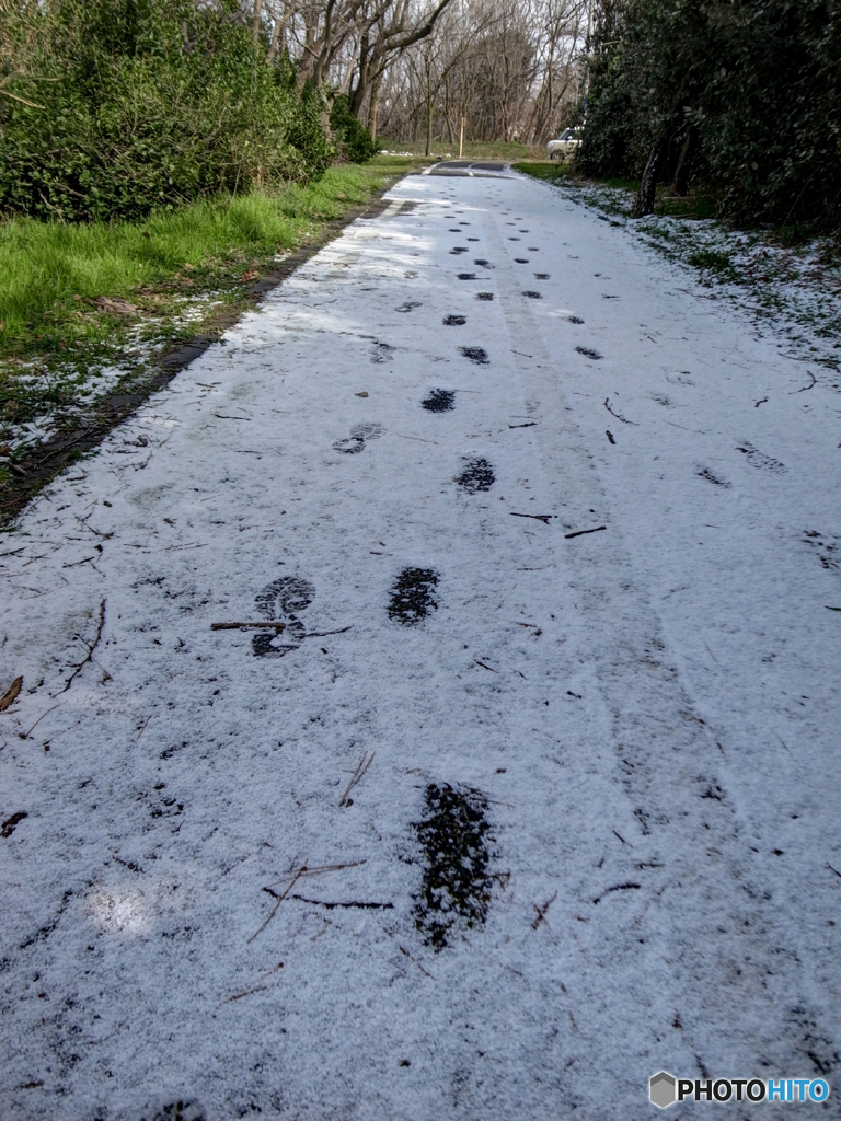 B5AAAB37-DD35-4C21-8B4B-5308C2A7A18F