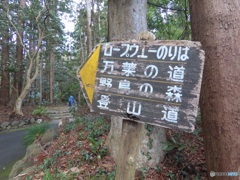 B7F27210-A1D5-416F-977E-58F0F3DFC925