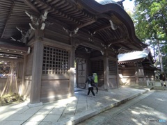 00AB8C5D-1610-4DB0-87E7-6335BDEC5670
