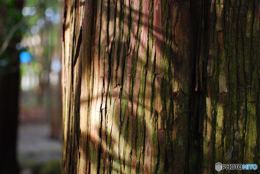 EC613E2E-A538-4DD8-8589-2274B33ED445