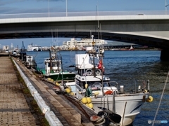 981006E5-F54C-486B-9EFF-46FECDCAB295
