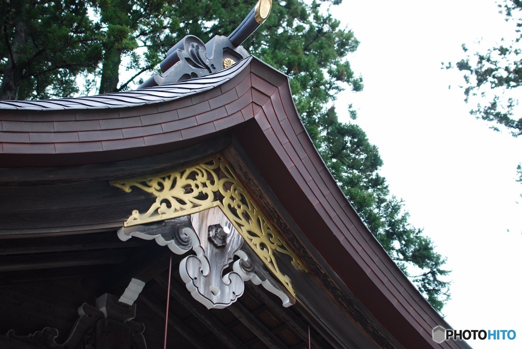 34B052F7-5193-4662-BF63-D9291A8B6C44