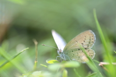 ほっとしたね