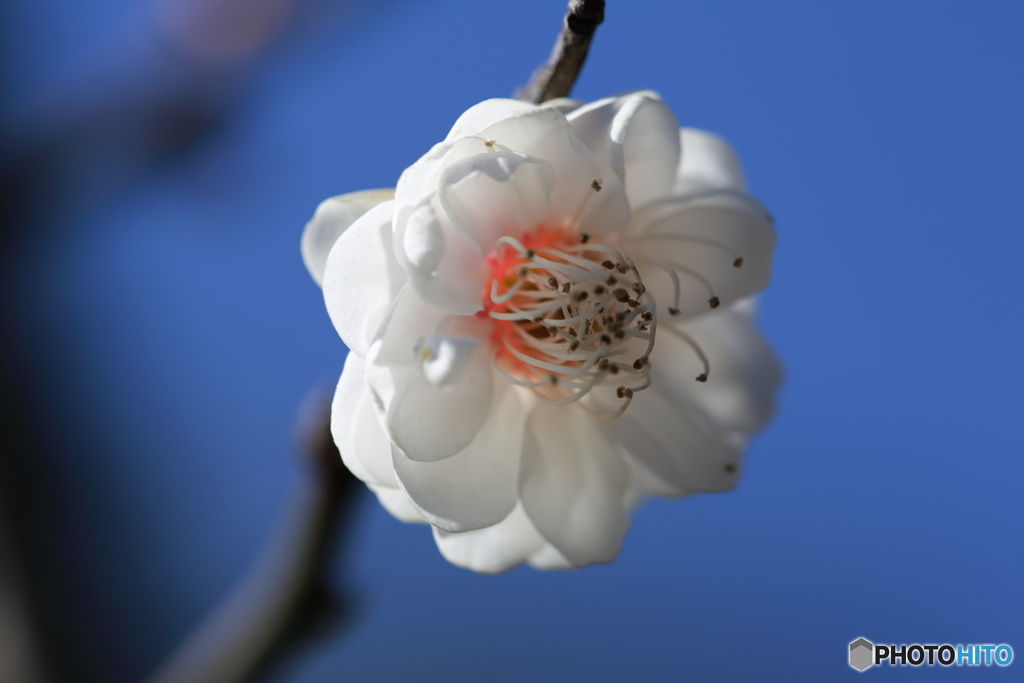 早春①