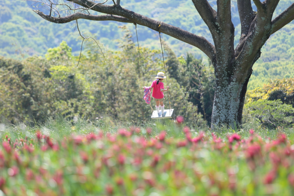 花のおかの思い出