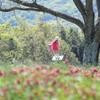 花のおかの思い出