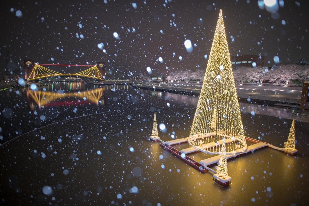 雪の環水公園