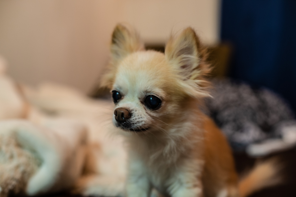 DSC_4108