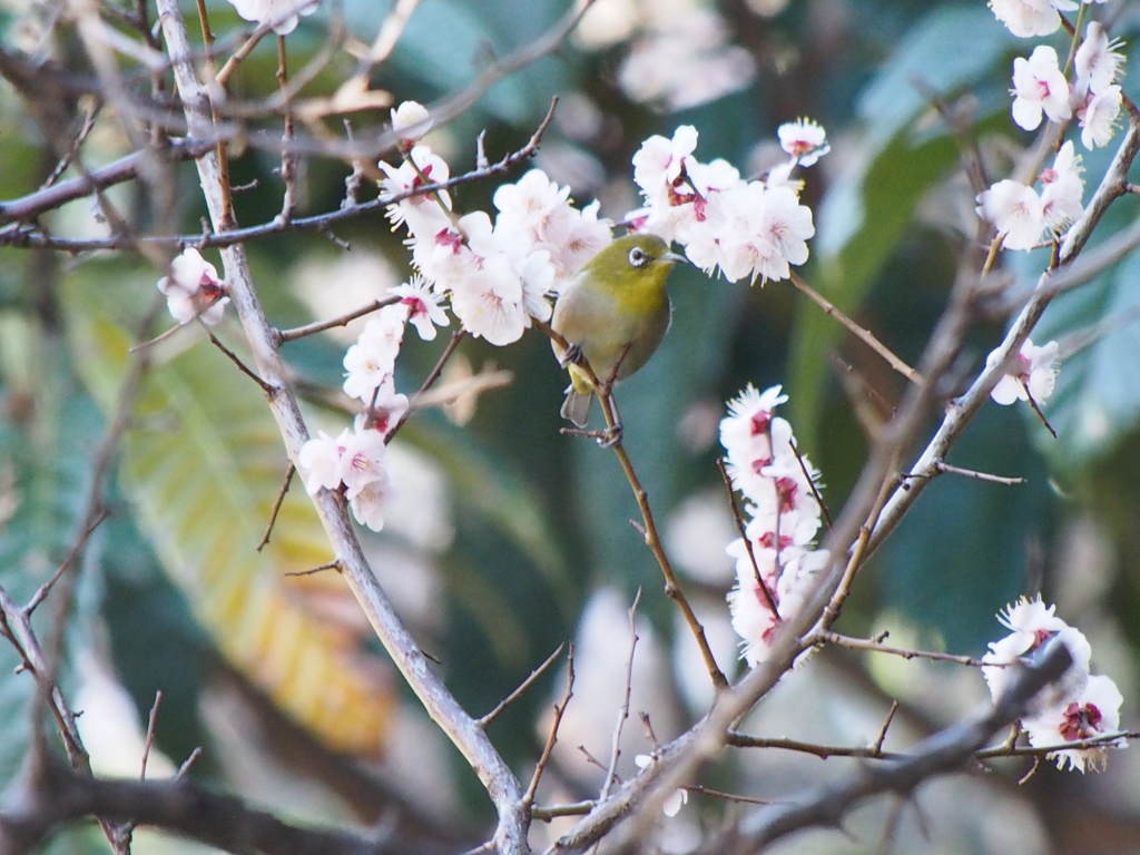 ひかりを浴びて
