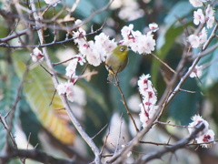 ひかりを浴びて
